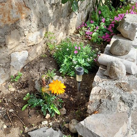 Apartmani Sanja Šibenik Cameră foto